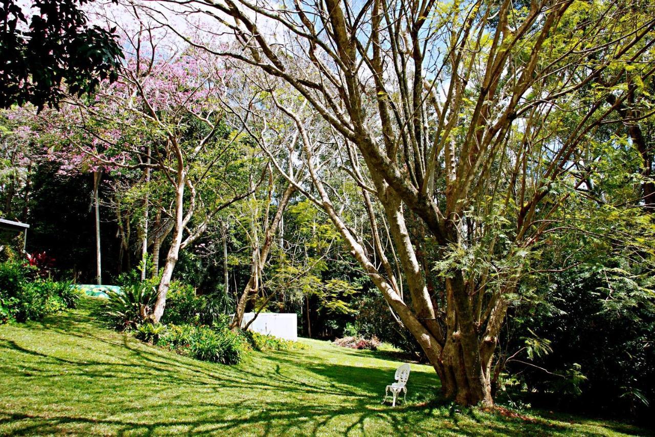 Maleny Monet Studio Exteriör bild